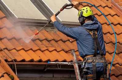 Démoussage et hydrofuge de toiture à Trégomeur